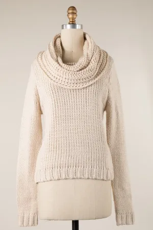 Chunky Cowl Neck Sweater