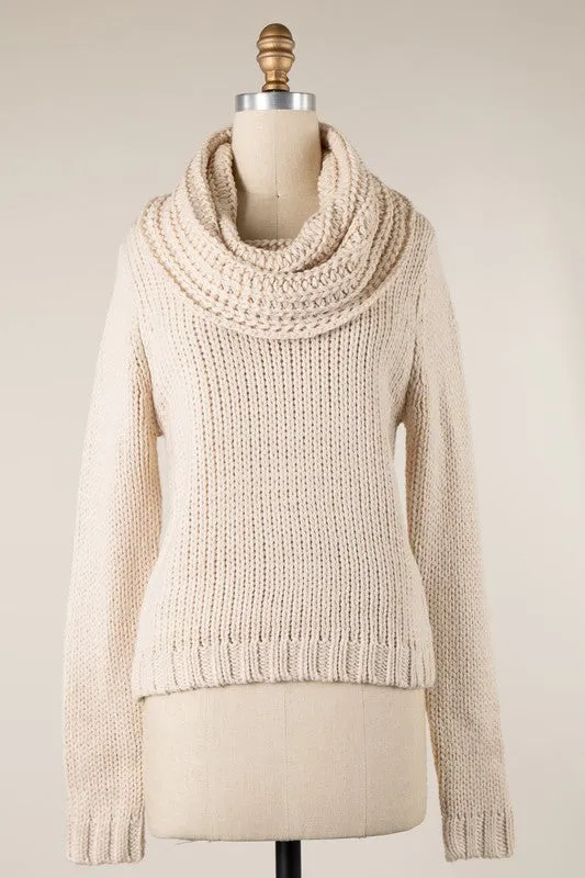 Chunky Cowl Neck Sweater
