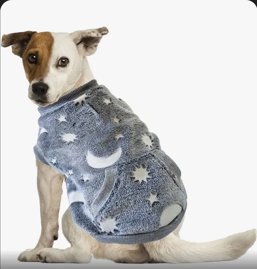 FASHION PET Glow-In-The-Dark Sweatshirt - Stylish & Cozy Pet Apparel for Night Visibility