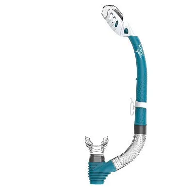 New - Speedo Adult Dive MS Set - Turq/Celeste