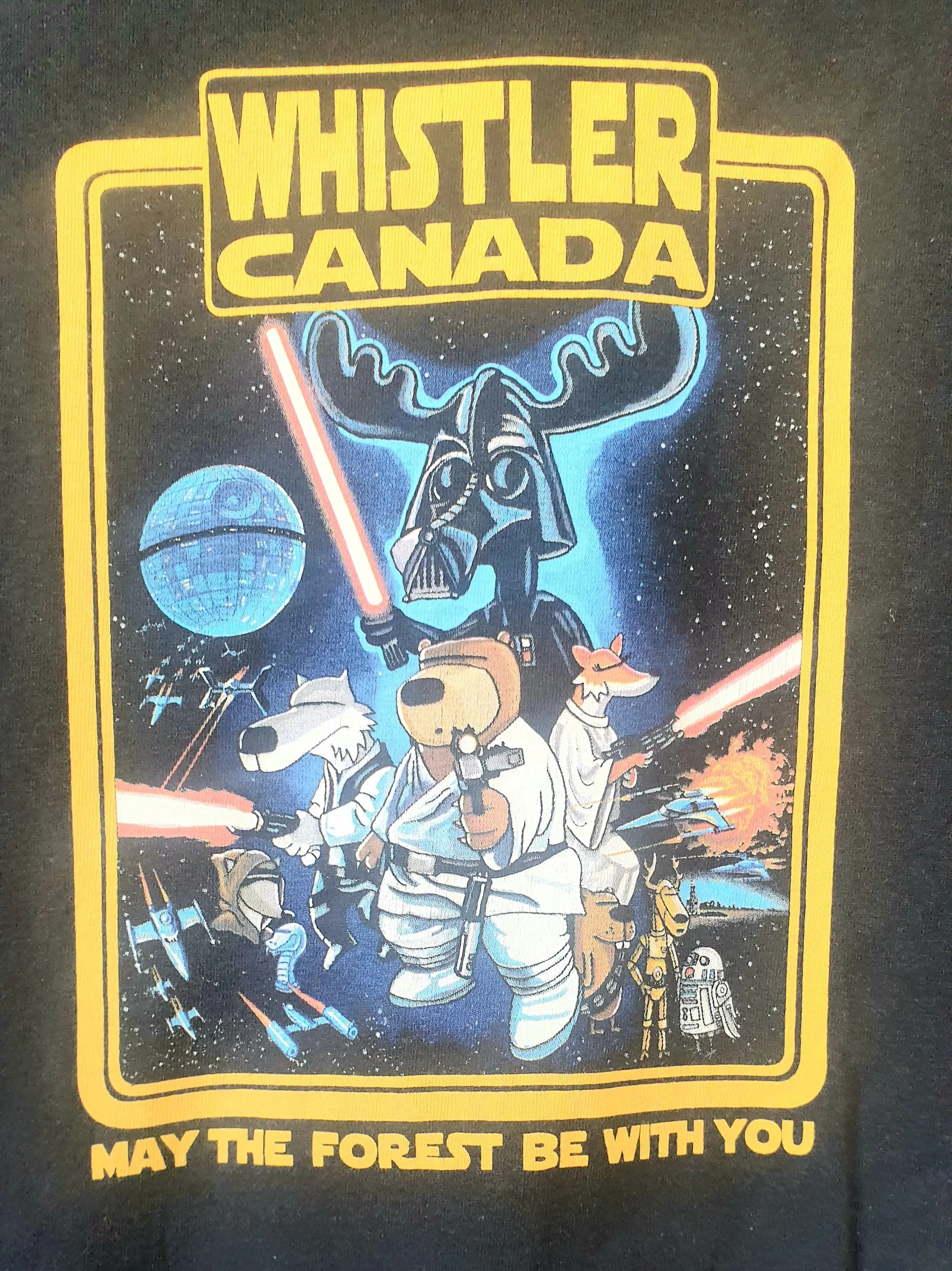 Vintage T-Shirt May the Forest Be With You (Medium)